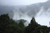tkf003_525284