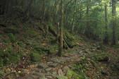 tkf003_525398