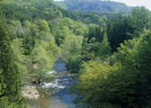 tkf003_525448