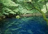 tkf003_525455