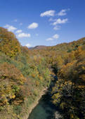 tkf003_525478