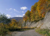 tkf003_525490