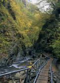 tkf003_525493