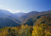 tkf003_525577