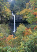 tkf003_526297