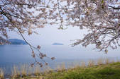 tkf003_526366