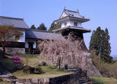 tkf003_529198