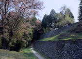 tkf003_529199