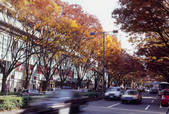 tkf003_529563