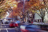 tkf003_529648
