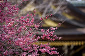 tkf003_531082