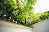 tkf003_531090