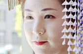tkf003_531499