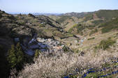 tkf003_533688