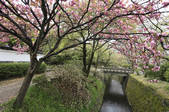 tkf003_533750