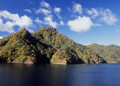 tkf003_534411