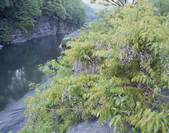 tkf003_534559