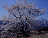 tkf003_534572