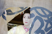 tkf003_537077