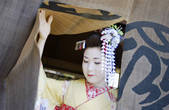 tkf003_537078