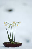 tkf003_538027