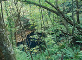 tkf003_539950