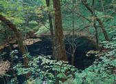 tkf003_539951