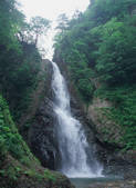 tkf003_539954