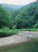 tkf003_539956