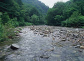 tkf003_539957