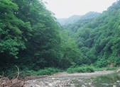 tkf003_539958
