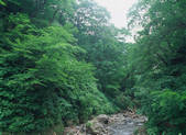tkf003_539959