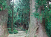 tkf003_539965