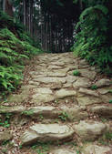 tkf003_539976