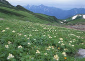 tkf003_540084