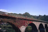 tkf003_541101