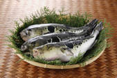 tkf003_542040