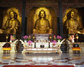 tkf003_542227