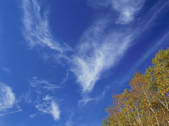 tkf003_546369