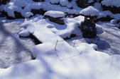 tkf003_546530