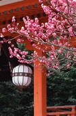 tkf003_546579