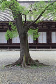 tkf003_546588