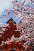 tkf003_546600