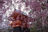 tkf003_546601