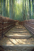tkf003_546603