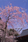 tkf003_546612