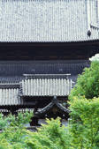 tkf003_546639