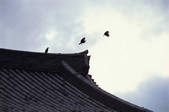 tkf003_546641