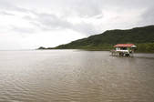 tkf003_550247