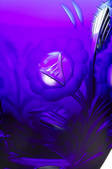 tkf003_550658